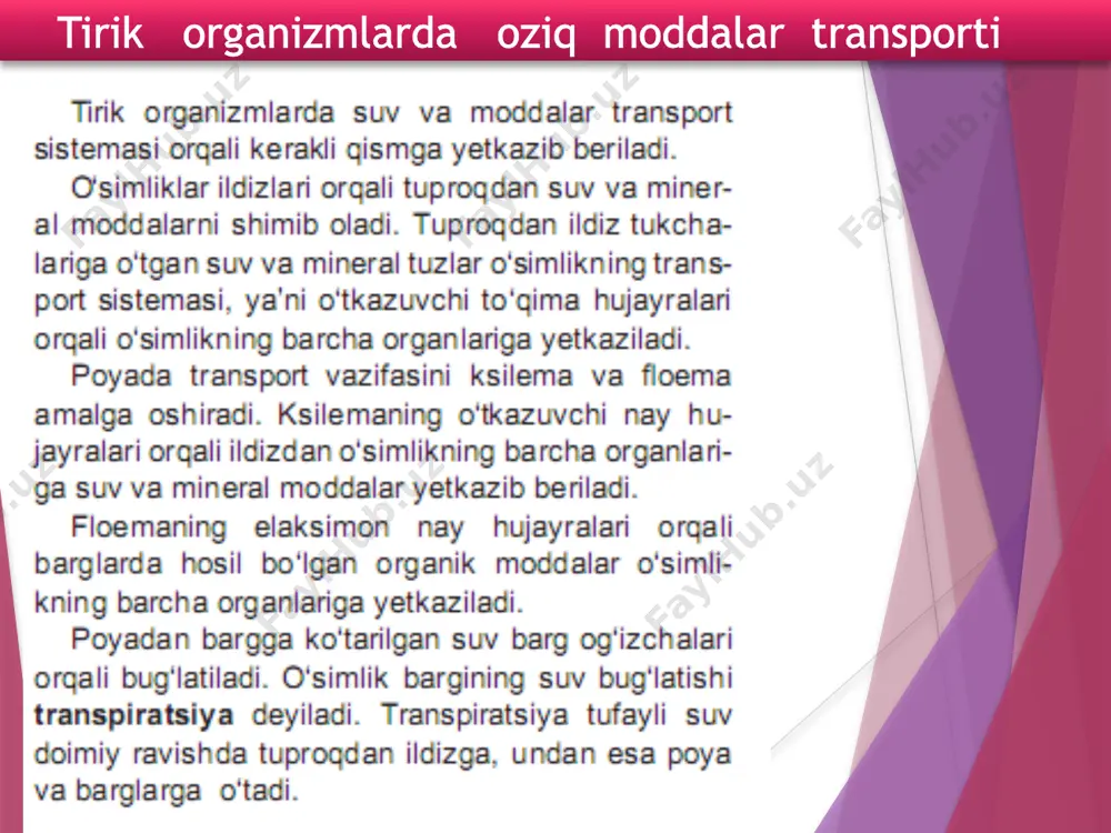 tirik organizmlarda oziq moddalar transporti - Page 5