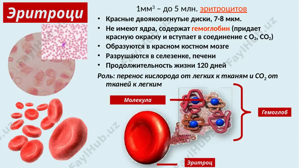 smaster1.xml ppt/drawings/_rels/vmldrawing1.vml.rels ppt/media/image126.png ppt/media/image127.jpeg ppt/media/image128.jpeg ppt/media/image129.gif ppt/media/image130.jpeg ppt/media/image124.jpeg ppt/media/image101.jpeg ppt/media/image34.jpeg ppt/media/image35.gif ppt/media/image36.jpeg ppt/media/image32.jpeg ppt/media/image31.jpeg ppt/media/image30.jpeg ppt/media/image26.jpeg ppt/media/image37.jpeg ppt/media/image38.jpeg ppt/media/image39.jpeg ppt/media/image46.jpeg ppt/media/image47.jpeg ppt/media/image48.jpeg ppt/media/image49.jpeg ppt/media/image45.jpeg ppt/media/image44.jpeg ppt/media/image43.jpeg ppt/media/image42.jpeg ppt/media/image40.gif ppt/media/image25.jpeg ppt/media/image23.jpeg ppt/media/image6.png ppt/media/image8.png ppt/media/image9.png ppt/media/image4.jpeg ppt/media/image3.gif ppt/theme/theme1.xml ppt/theme/theme2.xml ppt/media/image10.jpeg ppt/media/image12.jpeg ppt/media/image22.jpeg ppt/media/image15.jpeg ppt/media/image14.jpeg ppt/media/image13.jpeg ppt/media/image102.jpeg ppt/media/image50.jpeg ppt/media/image83.png ppt/media/image85.jpeg ppt/media/image86.jpeg ppt/media/image82.jpeg ppt/media/image81.jpeg ppt/media/image76.jpeg ppt/media/image78.jpeg ppt/media/image79.jpeg ppt/media/image88.jpeg ppt/media/image89.gif ppt/media/image98.jpeg ppt/media/image99.jpeg ppt/media/image100.jpeg ppt/media/image95.jpeg ppt/media/image93.jpeg ppt/media/image91.jpeg ppt/media/image90.jpeg ppt/media/image51.jpeg ppt/media/image61.jpeg ppt/media/image74.jpeg ppt/media/image59.jpeg ppt/media/image58.jpeg ppt/media/image57.png ppt/media/image56.jpeg ppt/media/image55.jpeg ppt/media/image53.jpeg ppt/media/image62.png ppt/media/image60.jpeg ppt/media/image64.png ppt/media/image70.jpeg ppt/media/image63.jpeg ppt/media/image68.png ppt/tablestyles.xml ppt/viewprops.xml ppt/presprops.xml docprops/app.xml docprops/core.xml ppt/media/image1.png ppt/media/image103.png ppt/media/image105.png ppt/media/image107.png ppt/media/image108.png ppt/media/image11.png ppt/media/