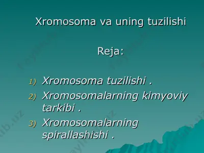 xromosoma tuzilishi — PPT