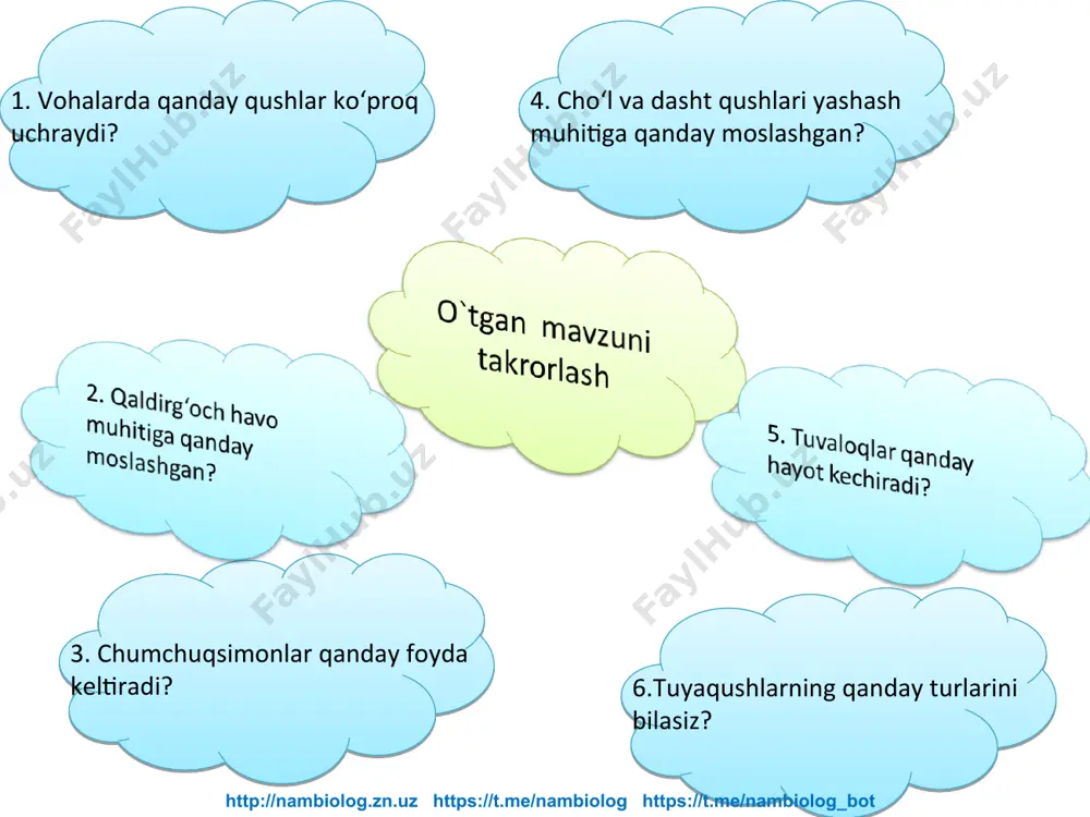 o‘simliklarni ajratib oladi. o‘rta osiyo suv havzalarida yovvoyi o‘rdak, churrak, suqsunuchraydi. yovvoyi o‘rdak erkagining boshi to‘q yashil, bo‘yni oq; urg‘ochisining tumshug‘i qizg‘ish, dumi oqish bo‘ladi. http://nambiolog.zn.uz https://t.me/nambiolog https://t.me/nambiolog_bot ular kuzda qishlov joylariga uchib o‘ta boshlaydi. o‘rdaklar osiyoning janubi, shimoliy afrika, markaziy amerika, shuningdek, o‘lkamiz janubidagi suv havzalarida qishlaydi. erta bahorda daryolar bo‘yidagi qamishzorlar va qalin o‘tlar orasiga uya quradi. yovvoyi o‘rdak, churrak, suqsun va boshqa o‘rdaksimon qushlar ovlanadi. yovvoyi o‘rdak xonaki o‘rdakning naslboshisi hisoblanadi. http://nambiolog.zn.uz https://t.me/nambiolog https://t.me/nambiolog_bot g‘ozlar o‘rdaklarga nisbatan yirikroq; erkagi va urg‘ochisi bir xil rangda bo‘ladi. ular o‘simliklar bilan oziqlanadi. baquvvat tumshug‘i chetidagi o‘tkir muguz plastinkalari yordamida o‘simliklarni qirqib olib yeydi. o‘zbekistonda xonaki g‘ozlarning ajdodi bo‘lgan kulrang g‘oz in qurib, bola ochadi. http://nambiolog.zn.uz https://t.me/nambiolog https://t.me/nambiolog_bot bu qush amudaryo etaklarida va zarafshon daryosining quyi oqimlarida uchraydi. yevropa, shimoliy afrika, janubi-sharqiy osiyo va o‘rta osiyo suv havzalarida qishlaydi. g‘ozlar go‘shti uchun ovlanadi. http://nambiolog.zn.uz https://t.me/nambiolog https://t.me/nambiolog_bot oqqushlar g`ozlar oilasiga mansub yirik …