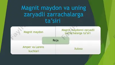 magnit maydon va uning zaryadli zarrachalarga ta’siri — PPTX