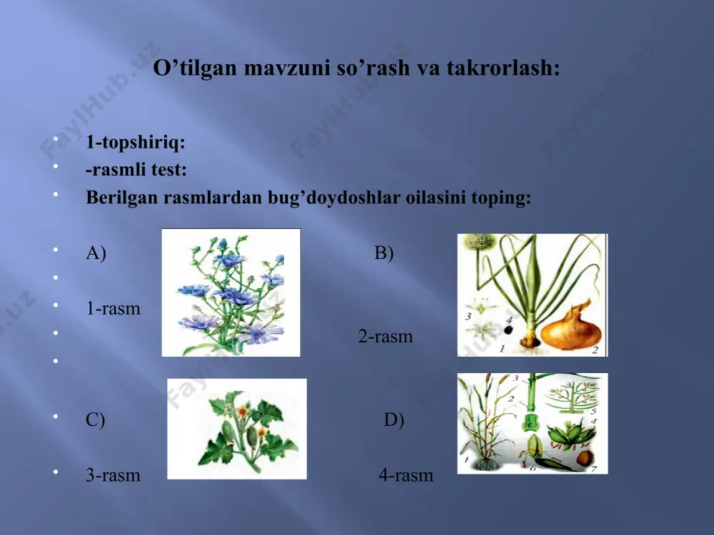 biologiya fanidan ta'lim materiali - Page 3