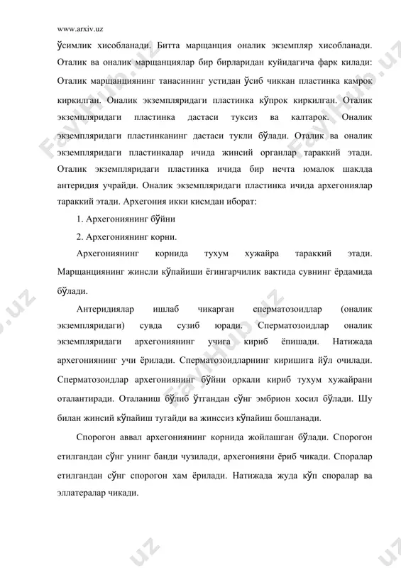 и бир оз калтарок б(лади. оталик экземплярида антеридияларни (раб турган кизил баргчалар парафизалар б(лади. бу кизил баргчаларни перианти дейилади. антеридия узун халтачага (хшаш б(лади. антеридиялар 2 хивчинли, харакатчан сперматазоидларни вужудга келтиради. архегониянинг шакли колбага (хшаш б(либ, улар хам парафизалар билан (ралган. оталаниш процесси сувнинг ёрдамида б(лади. сувда сузиб юрган сперматозоидлар келиб архегонияга ёпи-шади. б(йни оркали кириб, тухум хужайрани оталантиради. натижада эмбрион хосил б(лади. эмбрион к(п хужайрали спорогонга айланади. спорогон банд ташкил этади. шу холича у кишлайди. келгуси йили спорогоннинг банди ч(зилиб кетиб,поядаги баргдан узоклашади. спорогоннинг юкори томонида калпокчаси б(лади. бу калпокча спорогонни совукдан ва иссикдан саклаб туради. бахорда бу калпокча тушиб кетади.калпокча остидаги калпокча эса спорогоннинг учки томонини ёпиб туради. спорогон ичида спорангия хужайралари тараккий этади. спорангия хужайраларнинг редукцион б(линиши натижасида споралар вужудга келади. споралар етилгандан с(нг спорангия девори ёрилади. спорогоннинг копкокчаси очилиб, споралар таркалиб кетади. споралар жуда майда, сарик рангли б(лади. споралар кулай жойга тушиб колса, какку зигирига айланади. …