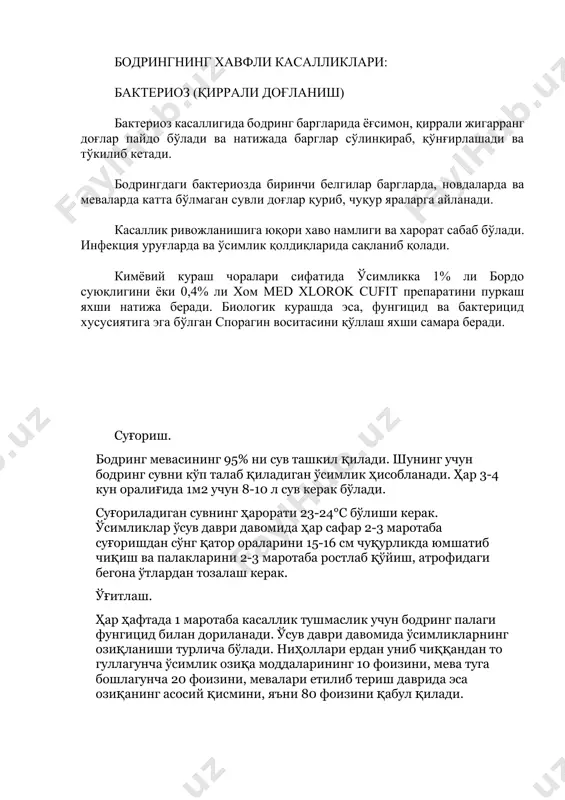 а ўсимликка 1% ли бордо суюқлигини ёки 0,4% ли хом med xlorok cufit препаратини пуркаш яхши натижа беради. биологик курашда эса, фунгицид ва бактерицид хусусиятига эга бўлган спорагин воситасини қўллаш яхши самара беради. суғориш. бодринг мевасининг 95% ни сув ташкил қилади. шунинг учун бодринг сувни кўп талаб қиладиган ўсимлик ҳисобланади. ҳар 3-4 кун оралиғида 1м2 учун 8-10 л сув керак бўлади. суғориладиган сувнинг ҳарорати 23-24°с бўлиши керак. ўсимликлар ўсув даври давомида ҳар сафар 2-3 маротаба суғоришдан сўнг қатор ораларини 15-16 см чуқурликда юмшатиб чиқиш ва палакларини 2-3 маротаба ростлаб қўйиш, атрофидаги бегона ўтлардан тозалаш керак. ўғитлаш. ҳар ҳафтада 1 маротаба касаллик тушмаслик учун бодринг палаги фунгицид билан дориланади. ўсув даври давомида ўсимликларнинг озиқланиши турлича бўлади. ниҳоллари ердан униб чиққандан то гуллагунча ўсимлик озиқа моддаларининг 10 фоизини, мева туга бошлагунча 20 фоизини, мевалари етилиб териш даврида эса озиқанинг асосий қисмини, яъни 80 фоизини қабул қилади. бодринг озиқланишга жуда талабчан бўлиб, шунинг …