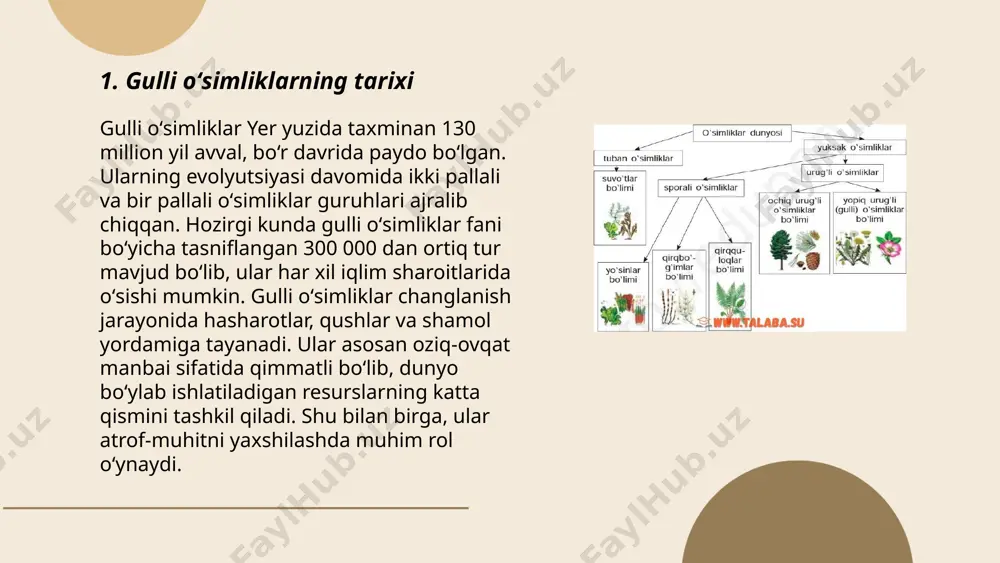 eva hosil boʻladi. vegetativ koʻpayish esa oʻsimlikning qismi yoki qismlarini, masalan, ildizpoyalar, poyalar yoki barglar orqali amalga oshadi. gulli oʻsimliklarning koʻplari kesish, boshcha orqali yoki payvandlash kabi vegetativ usullar bilan ko'paytiriladi. bu usullar tez, samarali va oʻsimliklarni klonlash imkoniyatini beradi. misol uchun, kartoshka tuganaklari yoki qulupnay soqollari orqali ko'payadi. ... t.me/slaydai_bot 7. gulli oʻsimliklarning ekologik roli gulli oʻsimliklar ekotizimlarda muhim rol oʻynaydi. ular atmosferadan karbonat angidridni soʻrib, kislorod ishlab chiqaradi, shu bilan havoning sifatini yaxshilaydi. fotosintez jarayoni orqali oʻsimliklar oʻz oziq-ovqat zanjirining asosiy qismi boʻlib, hayvonlar va boshqa organizmlar uchun asosiy oziq manbaidir. ushbu oʻsimliklar tuproqning eroziyasini oldini olishga yordam beradi, chunki ularning ildizlari tuproqni ushlab turadi. bundan tashqari, gulli oʻsimliklar changlatuvchi hasharotlar, masalan, arilar va kapalaklar uchun oziq manbaidir, ular esa oʻz navbatida oʻsimliklar reproduktsiyasini ta'minlashda yordam beradi. oʻsimliklar biomassasi iqlim oʻzgarishini sekinlashtirishda muhim rol oʻynaydi. ... t.me/slaydai_bot gulli oʻsimliklar yer yuzidagi oʻsimliklar dunyosining yarmidan koʻpini tashkil qiladi. ular …