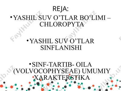 yashil suv o’tlar bo’limi-chlorophyta — PPTX
