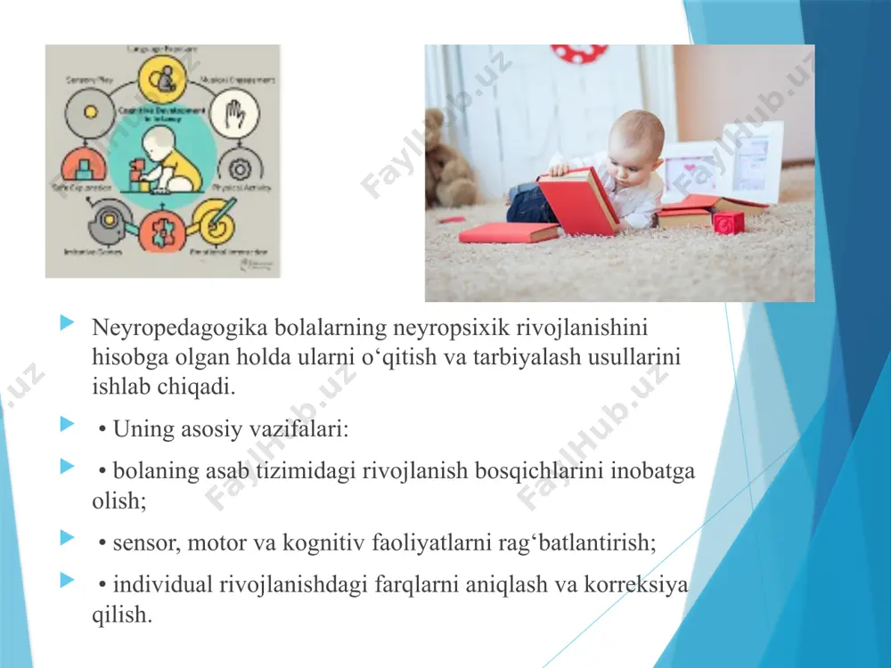 chaqaloqlik davrining neyropedagogik xususiyatlari - Page 4