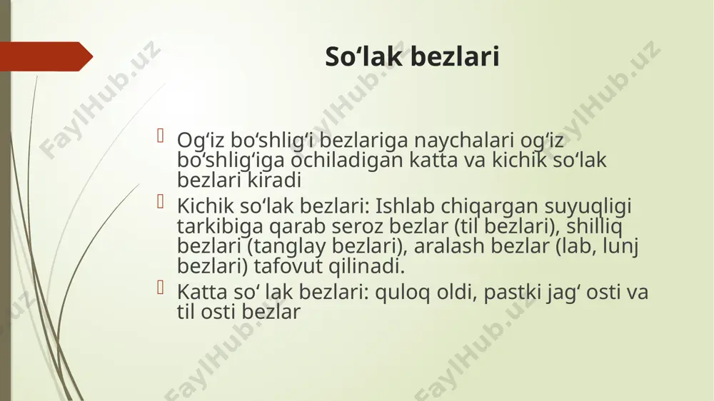 bo'yin umurtqalari sohasida qizilo'ngachga o'tib ketadi. qismlari: 1. burun qismi (pars nasalis) 2. og'iz qismi (pars oralis) 3. hiqildoq qismi (pars iaryngea) halqum devori quyidagi qavatlardan iborat: 1. shilliq qavat (tunica mucosa) 2. fibroz parda (tunica fibrosa) 3. mushak qavat (tunica muscularis) 4. biriktiruvchi to'qimali parda (tunica adventitia) qizilo'ngach (oesophagus) q izilo ‘ngach- ovqat luqmasini halqumdan me’daga o'tkazib beradi. uning uzunligi 25—30 sm. qizilo'ngach vi—vii bo'yin umurtqalari sohasidan boshlanib, x—xi ko'krak umurtqalarining chap tomonida me’daning kirish qismiga o'tib ketadi unda uch: bo'yin, ko'krak va qorin qismlari tafovut qilinadi. -qizilo'ngachning bo'yin qismi (partes cervicalis) vii bo'yin umurtqasi sohasiga to'g'ri keladi. uning old tomonida kekirdak, orqasida umurtqa pog'onasi, yon tomonlarida esa orqaga qaytuvchi hiqildoq nervi va umumiy uyqu arteriyasi joylashgan. -qizilo'ngachning ko'krak qismi (partes thoracica) eng uzun qismi bo'lib, orqa ko'ks oralig'ida umurtqa pog'onasining oldida joylashgan. - qizilo'ngachning qorin qismi (partes abdominalis) 1—3 sm bo'lib, jigar chap bo'lagining orqa yuzasiga tegib turadi. …