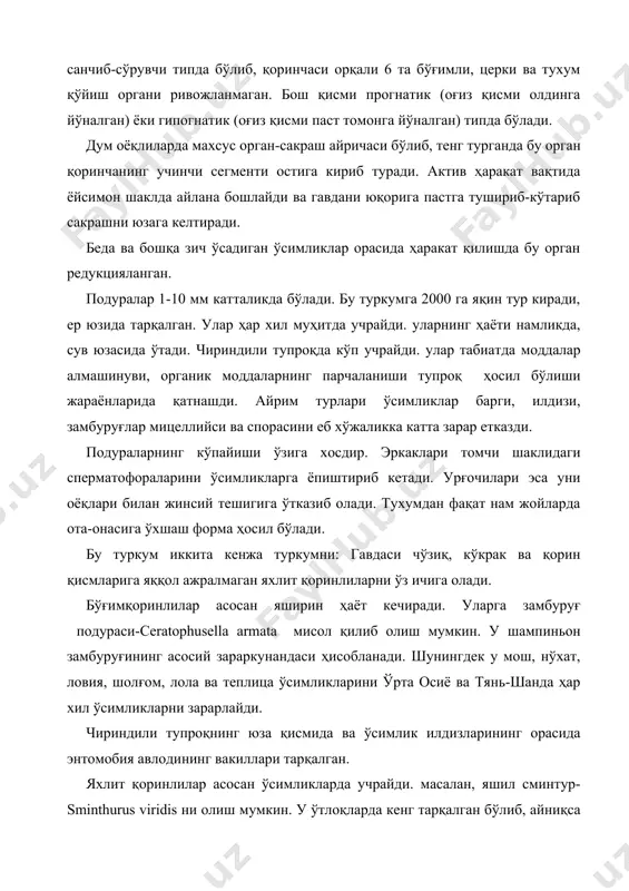 қланади. улар орасида сапрофаглар, некрофаглар ҳам учрайди, йиртқичлари ҳам бор. диплуранинг 400 га яқин тури бор. улар тропик ва субтропик мамлакатларда тарқалган. масалан, комподентлар ихчам, тез ҳаракатланувчи, тупроқда, чириндили жойларда учрайди. катталиги 1 см бўлиб, тупроқда мўйлови ёки церкиси ёрдамида ўзига йўл топади. кўпайиши подураларга ўхшайди. эркаги сперматофорани ўзи юрган йўлларга қўяди, урғочиси жинсий оёқлари билан уни олади. тухумдан ота-онасига ўхшайдиган форма чиқади. украина, молдова,қрим, кавказ, ва ўрта осиёда япигидлар оиласиннг вакиллари кенг тарқалган. улар гавдасининг охирида омбирсимон ўсимтаси борлиги билан фарқланади. япикслар йиртқич бўлиб, асосанподураларни овлайди. ўлжасини боши ва омбирсимон ўсимтаси билан икки жойидан маҳкам тутади, кейин оғзига яқинлаштириб ея бошлайди. уларнинг катталиги ҳар хилдир. масалан, қримдаги japyx ghilarovi 1см, туркманистондаги s.dux 5 см келади. республикамиз пахта далаларида, амударё ва сирдарё этакларида кўплаб учрайди. 2-кенжа синф: очиқ жағлилар ёки ҳақиқий ҳашаротлар ectognatha бу кенжа синф барча қанотли ҳашаротларни, шунингдек баъзи иккиламчи тартибда қанотини йўқотган (редукцияланган) ҳашаротларни ўз ичига олади. …