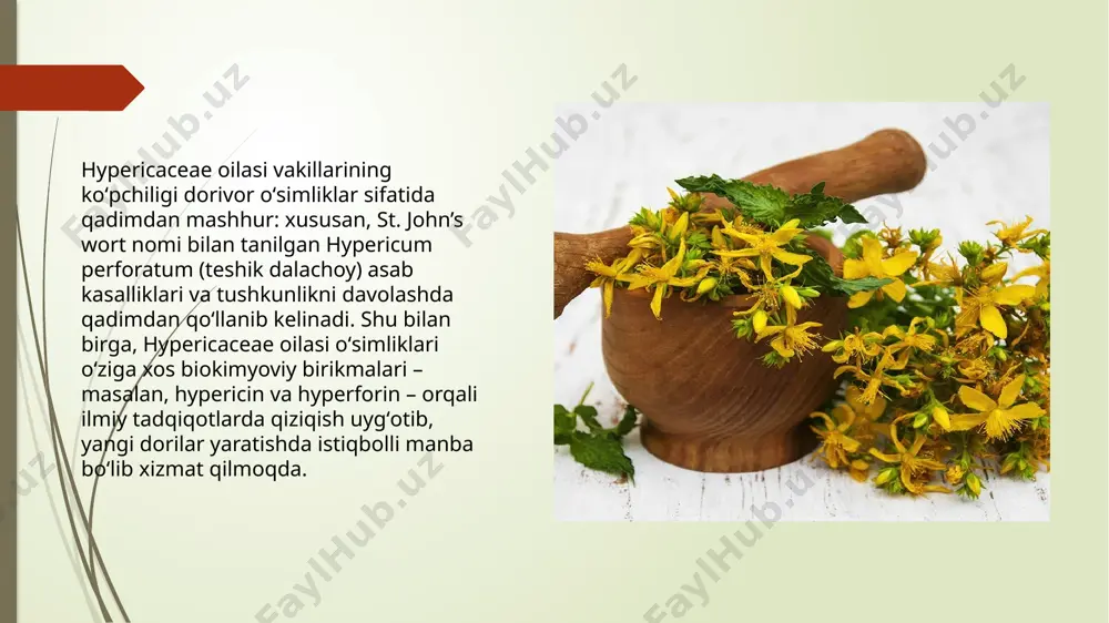 olxonov x.a. o'zbek botanika terminologiyasi masalalari. — т.: „fan", 1966. 3. zokirov q.z., nabiyev m.m., pratov 0 ‘.p., jamolxonov x.a. ruscha-o'zbekcha botanika terminlarining qisqacha izohli lug'ati. т.: o'z fa nashr., 1963. image1.jpeg image2.jpeg image3.jpeg /docprops/thumbnail.jpeg