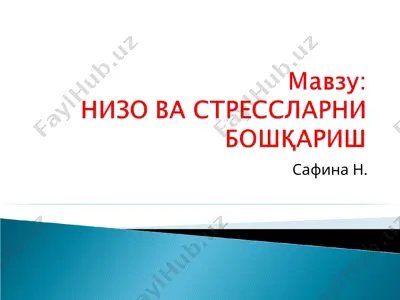 nizo — PPT