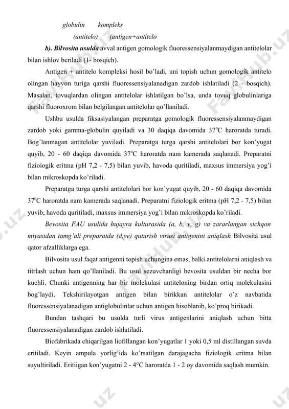qo’llaniladi. bu usul sezuvchanligi bevosita usuldan bir necha bor kuchli. chunki antigenning har bir molekulasi antiteloning birdan ortiq molekulasini bog’laydi. tekshirilayotgan antigen bilan birikkan antitelolar o’z navbatida fluoressensiyalanadigan antiglobulinlar uchun antigen hisoblanib, ko’proq birikadi. bundan tashqari bu usulda turli virus antigenlarini aniqlash uchun bitta fluoressensiyalanadigan zardob ishlatiladi. biofabrikada chiqarilgan liofillangan kon’yugatlar 1 yoki 0,5 ml distillangan suvda eritiladi. keyin ampula yorlig’ida ko’rsatilgan darajagacha fiziologik eritma bilan suyultiriladi. eritiigan kon’yugatni 2 - 4°c haroratda 1 - 2 oy davomida saqlash mumkin. bilvosita usulning bir qancha modifikasiyalari ishlab chiqilgan. komplement ishtirokidagi usul juda katta ahamiyatga ega. uning mohiyati preparat avval inaktivlangan fluoressensiyalanmaydigan maxsus zardob va dengiz cho’chqasi komplementi bilan ishlov berilib, keyin antigen + antitelo + komplement komlpeksini aniqlash uchun ustiga fluoressensiyalanadigan antikomplementar zardob quyishdan iborat. ushbu usul avvalgisidan ham ko’proq sezuvchan va turli virus antigenlarini aniqlash uchun faqat bitta fluoressensiyalanadigan antikomplementar zardob kerak bo’ladi. bilvosita usulning har ikkala varianti ham antigenni …