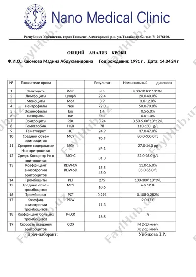 общий анализ крови — DOCX