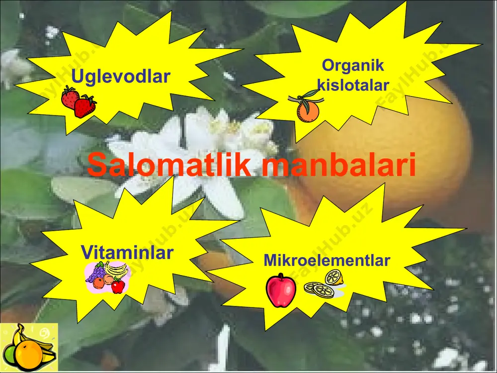 yoping 0 c yuqori haroratgacha qizdiring belgilangan vaqtni saqlang keyin kavanozni suvdan olib tashlang va uni tikuv mashinasi bilan yoping. tepaga qo'ying va xona haroratida sovutib oling sterilizatsiya bu mahsulotni qaynoq suvda issiqlik bilan ishlov berish. uzoq muddatli saqlash uchun konserva uchun ishlatiladi. konservalangan mahsulotni sterilizatsiya qilish vaqti suvning skovorodkada qaynayotgan paytdan boshlab hisoblanadi, qaynatish zo'ravon bo'lmasligi kerak; qimmatli maslahat ekinlardan prokatni urug'lar bilan bir yildan ortiq saqlash tavsiya etilmaydi, bunday konservalarning uzoqroq saqlash muddati gidrosiyan kislotasi darajasini oshiradi, bu ularni sog'liq uchun xavfli qiladi. etarli darajada isitilmagan konservalarda xamirturush va mog'or paydo bo'lishi mumkin. shishgan konservalarni iste'mol qilmaslik kerak. germetik yopiq konservalangan mevalar uchun maksimal saqlash muddati 1 yil. tikmasdan muhrlangan blankalar uchun - 6 oydan ortiq emas. kislota miqdori ancha yuqori bo'lgan mevalar (smorodina, gilos, qulupnay, malina, olxo'ri) pasterizatsiya qilinadi. kam kislotali mahsulotlar sterilizatsiya qilinadi: nok, shirin olma, gilos, shaftoli, o'rik. retseptlar jam jamlar jam marmelad kompot muzlatilgan …