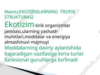 ekotizmlarning trofik strukturasi — PPTX