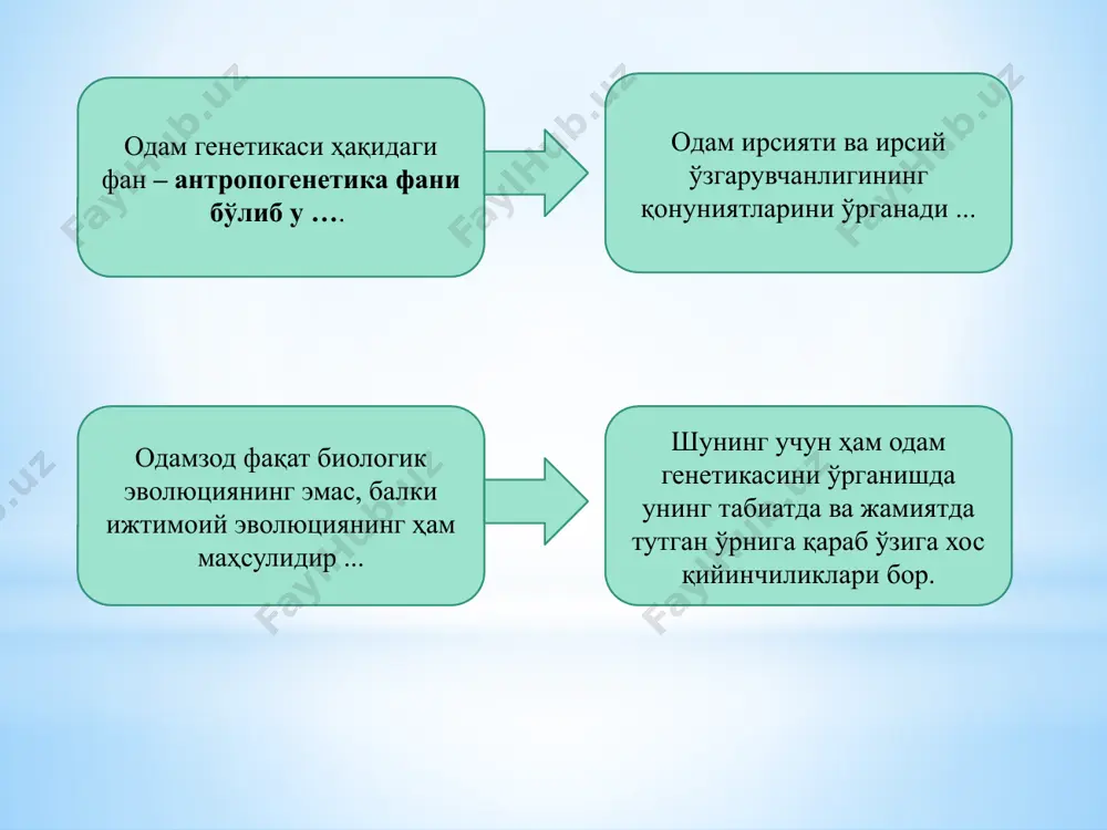 и; – соғлом ота-оналардан касал фарзанд туғилади; – агар ота-оналар гетерозигота булса белгининг юзага чиқиши 25 % га тенг, агар ота-оналардан бири гетерозигота иккинчиси гомозигота рецессив булса белги 50 % юзага чиқади, агар хар икки ота-она гомозигота рецессив генотипли булса белги 100 %, юзага чиқади. жинсга бириккан холда ирсийланиш х-хромосомага бирикган доминант типдаги ирсийланиш аутосома-доминант типда ирсийланишга ухшаш, фақат бу холатда отадан х-хромосома орқали қизига ўтади. х-хромосомага бирикган доминант типдаги ирсийланиш х-хромосомага бирикган рецессив типдаги ирсийланиш: – фақат эркаклар касалланади; – касаллик хар авлодда кузатилмайди; – соғлом ота-оналардан касал фарзандлар туғилади; – агар иккала ота-она соғлом бўлса умумий фарзандлардан 25 %и касал туғилади; уғил болаларни— 50 %и; қизларни— 0 % х-хромосомага бирикган рецессив типдаги ирсийланиш голандрик типдаги (y-хромосомага бирикган ) ирсийланиш : – касаллик хар авлодда кузатилади; – фақат эркаклар касалланади; – касаллик отадан ўғил болаларга ўтади. голандрик типдаги (y-хромосомага бирикган ) ирсийланиш инсоннинг ирсий касалликларга чалинишининг мойиллигини аниқлайди туғилган …