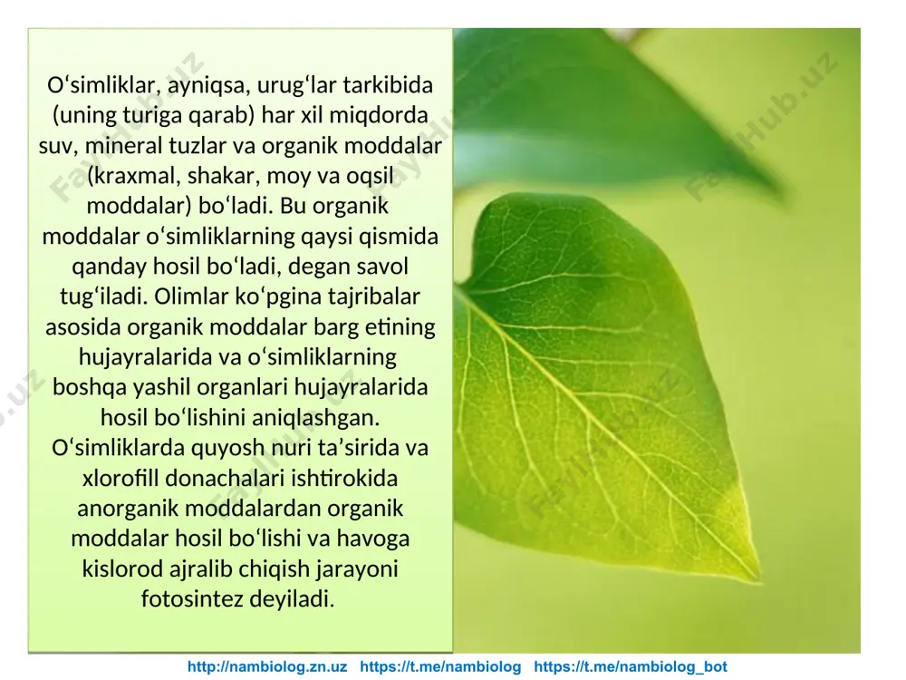 "barglarda organik moddalarning hosil bo‘lishi" - Page 4