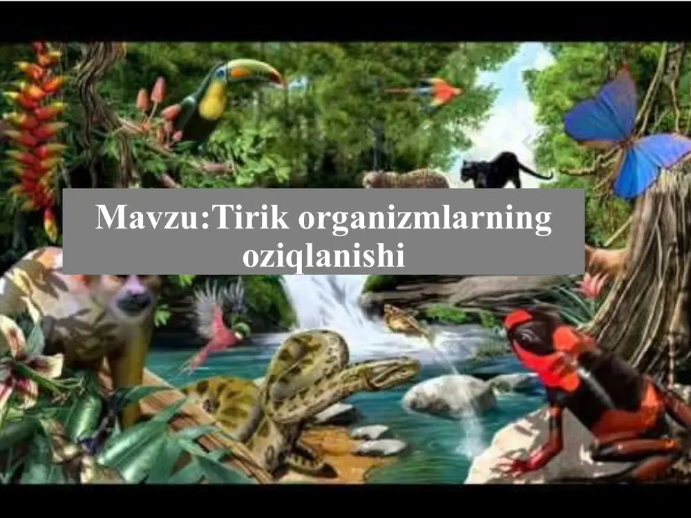 tirik organizmlarning oziqlanishi - Page 2