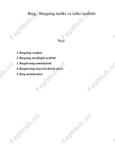 barg. bargning tashki va ichki tuzilishi — DOC
