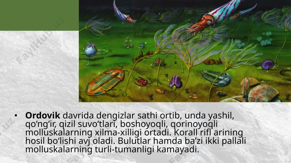 paleozoy erasidagi hayot. 10 - sinf - Page 4