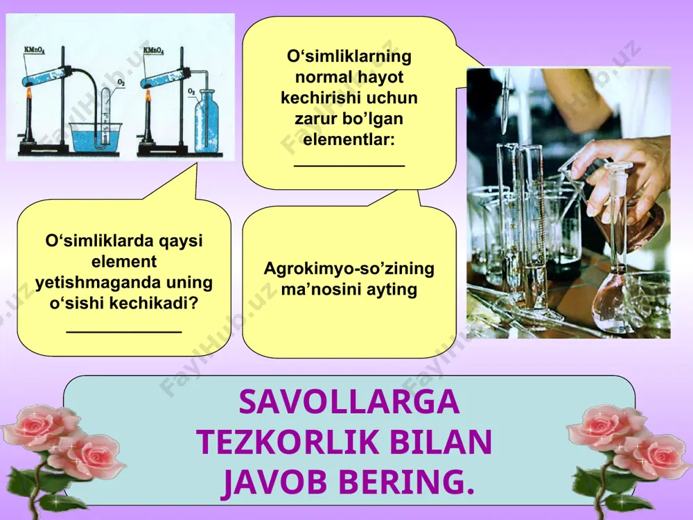 mineral o’g’itlar va ularning tirik organizmlardagi ahamiyati taqdimoti - Page 4