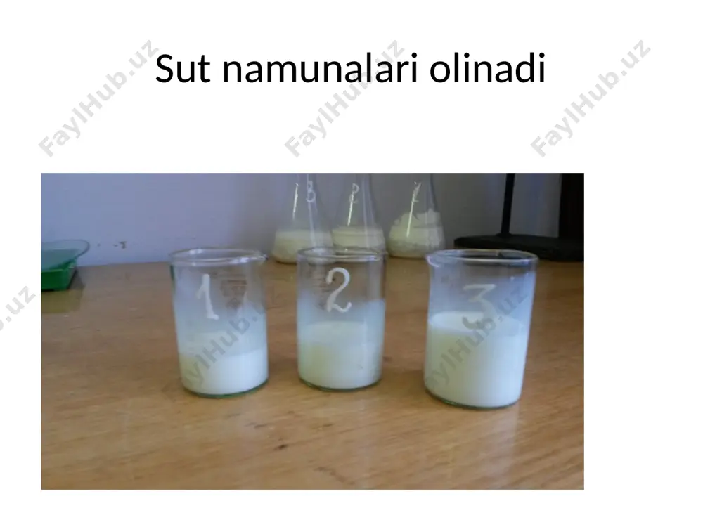 avsiya etilgan. bulardan birining mohiyati shundan iboratki, ishlatilayotgan metilin ko‘ki 10 marta suyultiriladi, sut esa 20 ml. emas, 10 ml. solinadi. hammasi bo‘lib sutning sifatiga baho berish 3 soat davom etadi. ishni bajarish tartibi va suv harorati xuddi yuqoridagidek amalga oshiriladi. ishlab chiqarishda qulay usullardan biri quyidagicha bajariladi. tekshirilayotgan sutdan probirkalarga 10 ml. dan olinib, ustiga 3 tomchidan metil ko‘ki tomiziladi. so‘ngra probirkalar chayqatilib, reduktaznikka qo‘yiladi. bir vaqtining o‘zida taqqoslash uchun metil ko‘ki qo‘shilmagan sutli probirkalar ham reduktaznikka qo‘yiladi. agar sutning sifati yomon bo‘lsa 5-6 daqiqa ichida, o‘rta darajadagi sutni aniqlash uchun 10 minut vaqt kifoya. rezazurin namunasi. reduktaza fermenti ta’sirida rezazurin kislorodni shimib oladi va oksazangacha tiklaydi. bu jarayonning sodir bo‘lishi mobaynida, sut asta-sekinlik bilan o‘zining rangini o‘zgartiradi (havo rangdan qizg‘ishgacha, keyin oq ranggacha). rezazurin namunasining afzallik tomoni shundaki, bir soat ichida sutdagi bakteriyalarning miqdori aniqlanilib, klasslarga ajratilishi mumkin. bundan tashqari, bu usul yordamida mastit sigirlardan olingan sutni hamda …