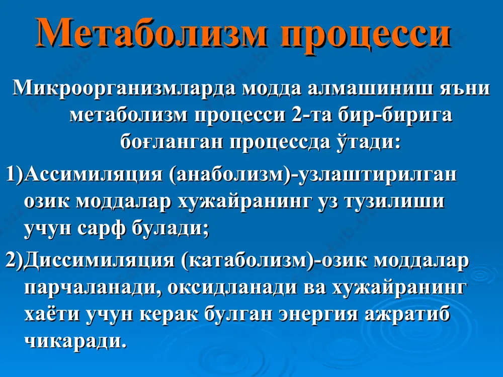 булган элементларга куйидагилар киради: c, h, o, n, p, s, k, ca, mg, fe озиқ моддалар транспорти озиқ моддалар хужайра ичига бир неча йўл билан киради: 1) пассив диффузия - бунда озиқ мухит билан микроб хужайраси ўртасидаги осмотик босим ва моддалар концентрацияси тенглашади ёки микроб хужайрасидаги модданинг концентрациясидан юқори бўлади ; 2) енгиллашган диффузия - асосан пермеаза ферменти ёрдамида бўлади, бу фермент хужайранинг цитоплазматик мембранасида жойлашган, специфик хусусиятга эга, энергия сарфланмайди; 3)актив транспорт- пермеазалар ёрдамида бўлади, лекин энергия сарфланади; 4)химиявий группалар транслокацияси-баъзи химиявий моддалар радикаллар ҳолида ўтади. озиқ моддалар бактерия хужайрасидан икки хил йўл билан чикади: пассив диффузия йўли билан енгиллашган диффузия йўли билан пермеаза ферменти иштирокида бўлади озиқ мухитлар озиқ мухитлар таркибида оддий ва мураккаб бирикмалар тутади,шу бирикмаларда бактериялар лаборатория шароитида кўпайтириб олинади озик мухитлар бактерия учун қуйидаги талабларга жавоб бериши керак: бактерияларни кўпайиши учун зарур моддалар бўлиши керак ва енгил хазм бўлиши керак; озиқ мухитлар маълум рнга ва …