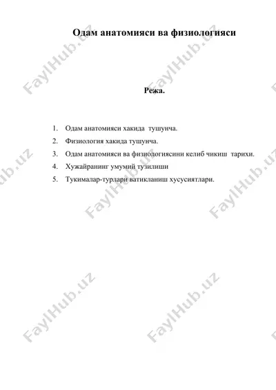одам анатомияси ва физиологияси — DOC
