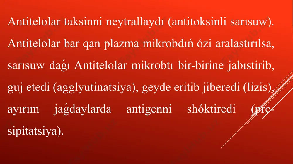 nurlaniwshi antitelolar usiliniń virusologiyada qollaniliwi - Page 4
