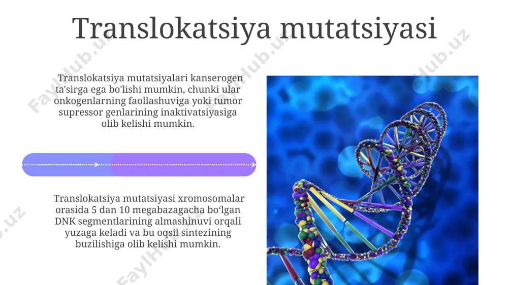 ish, masalan, quyoshdan himoya kremlarini spf 30 dan yuqori bo'lganlarini muntazam ishlatish, terining saratoniga olib keladigan gen mutatsiyalarini sezilarli darajada kamaytiradi. mutatsiyaning sabablari spontan mutatsiyalar genomdagi 10 6 bazali juftliklariga taxminan 1 ta chastota bilan sodir boʻladi va ularning sabablari hali toʻliq aniqlanmagan. dnkni koʻpaytirish jarayonidagi xatolar, masalan, polimeraza fermentining notoʻgʻri ishlashi yoki dnkni taʼmirlash mexanizmlarining buzilishi mutatsiyalarning yuzaga kelishiga sabab boʻladi. duplikatsiya mutatsiyasi тандем дубликацияларда, такрорланган сегментлар бир-бирига яқин жойлашган бўлиб, бу хромосома тузилишининг ўзгаришига ва ген экспрессиясининг бузилишига олиб келиши мумкин. дубликация мутацияси хромосомадаги 1-100 млн. нуклеотидларнинг такрорланишини ўз ичига олади ва бу геннинг дозасининг ошишига олиб келади, бу эса фенотипда ўзгаришларга сабаб бўлиши мумкин. e'tiboringiz uchun rahmat @taqdimot_robot image4.jpg image5.jpg image6.jpg image7.jpg image8.jpg image9.jpg image10.jpg image11.jpg image12.jpg image13.jpg image14.jpg image15.jpg image16.jpg image17.jpg image18.jpg image19.jpg image20.jpg image1.jpeg image2.jpeg image3.jpeg