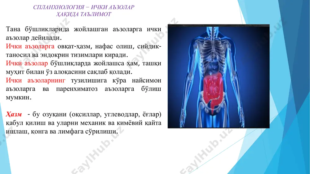 қ ости қават тўқималари ва мушак толалари бурама шаклида жойлашганлигидан ҳаракат: оғиз бўшлиғи соҳасидан, тўғри ичак тарафига бўлади. кўпгина ҳазм этиш аъзоларининг девори тўрт қаватдан ташкил топади: 1) ички - шиллиқ қавати; 2) шиллиқ ости қавати; 3) мушак қавати; 4) ташқи - сероз парда қавати. аъзо деворидаги ҳар бир қават ҳосиланинг қалинлиги, шу аъзонинг вазифаси билан боғлиқ бўлади. баъзи аъзода мушак қавати яхши тараққий этган бўлса (меъда), бошқа аъзоларда шиллиқ қавати ривожланган (ингичка ичак) бўлади. овқат ҳазм қилишнинг асосий турлари 1) келиб чиқишига қараб: а) аутолитик- парчаланиш озиқ таркибидаги ферментлар иштрокида амалга ошади ( она сути) б) симбиотик - симбионтлар ферментлар ишлаб чиқаради (содда бактериялар) в) хусусий- овқат ҳазм қилиш аъзолари ферментлари таъсири остидаги гидролиз жараёни (катта одамда) 2) жойлашишига (локализация )қараб: а) ҳужайра ичи ва б) ҳужайра ташқариси дистант - секрет таркибидаги ферментлар ёрдамида масофадан туриб таъсир қилиш ва контакт- ферментлар ҳужайра мембранаси билан боғланиб амалга оширилади 3) секрет …