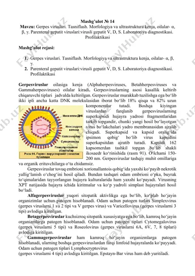 gerpes viruslari — DOCX