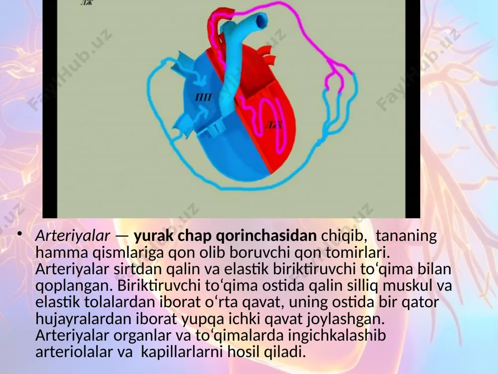 oirasi qanday funksiyani bajaradi? limfa sistemasining tuzilishi va vazifasini tushuntiring. taloqning funksiyasi nimadan iborat? limfotsitlarning odam organizmidagi ahamiyatini aytib bering. image2.jpeg image3.jpeg image4.jpeg image5.jpeg image6.jpeg image7.jpeg image8.jpeg image9.jpeg image10.gif image11.gif image12.gif image13.gif image14.gif image15.gif image1.jpeg