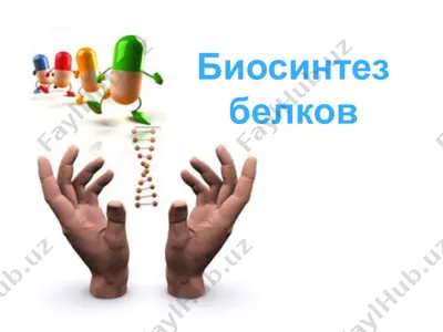 биосинтез белков — PPTX