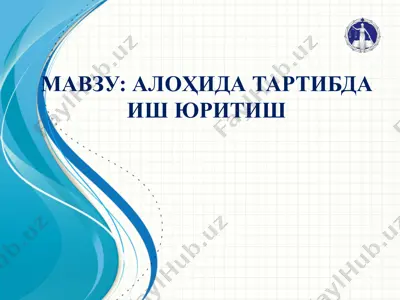 alohida tartibda ish yuritish — PPTX
