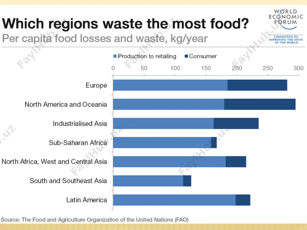 global ecological problems of the earth - Page 4