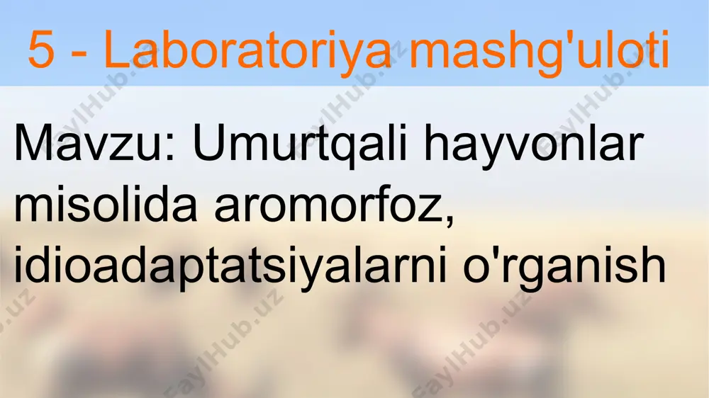 ilasining vakillari biogeografik jihatdan arktikadan to ekvatorgacha bo’lgan hududlarda tarqalgan. ularning bunday keng miqyosda tarqalishiga ulardagi turli xildagi idioadaptatsiyalar sabab bo’lgan, shu bois ular orasida raqobat kamayib boradi. idioadaptatsiyalarning hosil bo’lishi ushbu oila vakillarining keng maydonlarda yashashiga, ularning soni ortib borishiga va shuning oqibatida oila progress rivojlanishga erishishiga olib kelgan. idioadaptatsiya a.n.seversov idioadaptatsiyaning quyidagi turlarini farqlab ko’rsatadi: shakli bo’yicha: suvda yashovchi organizmlar tana shaklining suyri shaklda bo’lishi (suv qo’ng’izlari, baliqlarda). rangi bo’yicha: 1) himoya rangi (kaltakesaklar, buqalamun, sakkizoyoq) 2) ogohlantiruvchi rang (qizil rangli hasharotlar, ari) 3) mimikriya (jizildoq pashsha) ko’payish bo’yicha: kakku tuxumini boshqa qushlar uyasiga qo’yib ketishi, chigirtkalar tuxumlarini yerdagi maxsus ko’zachalarga qo’yishi harakatlanishi bo’yicha: suv qushlari, morj, tyulenlarning suzishga yordam beruvchi tuzilmalari; qushlardagi uchishga yordam beradigan ikki marta nafas olish, naysimon suyaklar ichining havo bilan to’lgan bo’lishi. yashash muhitiga moslanishi bo’yicha: teri osti yog’, mavsumiy tullash va h.k. ishning borishi: 1. baliqlar, suvda hamda quruqlikda yashovchilar, sudralib yuruvchilar, …