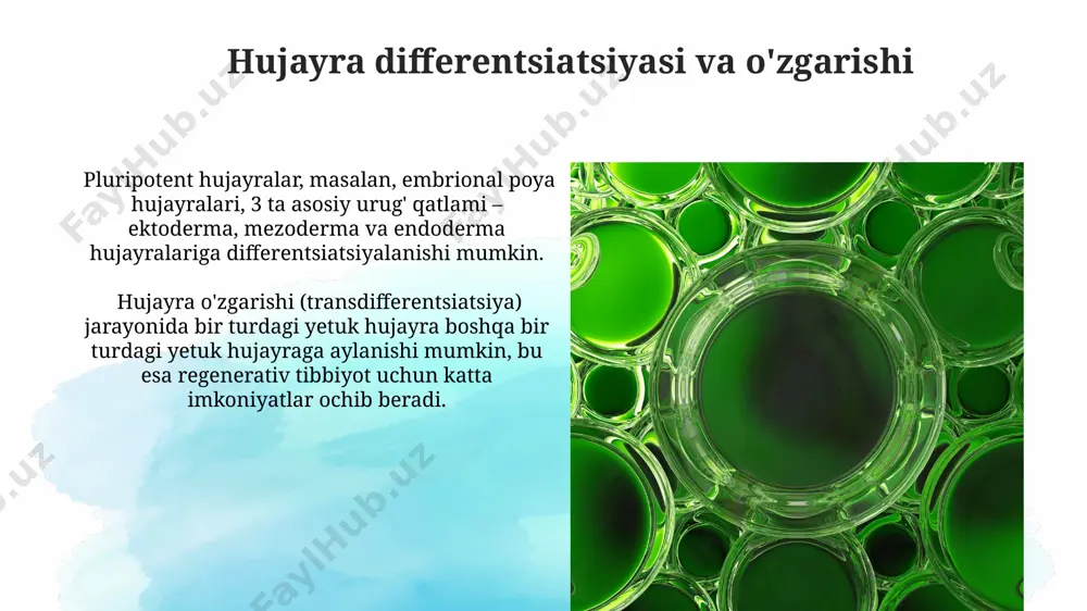 hujayra muxandisligining mohiyati va vazifalari - Page 5