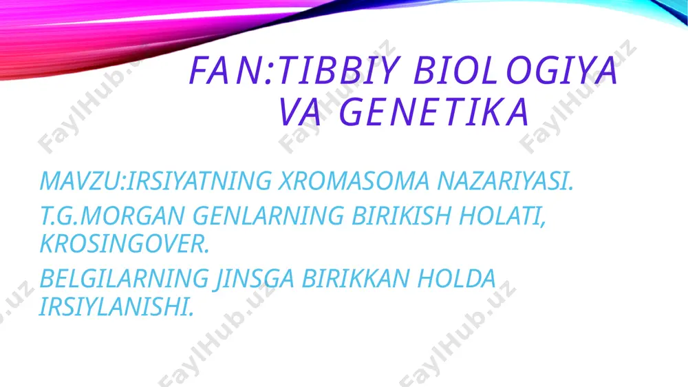 um) 7 ga, drozoﬁ la meva pashshasida (drosophila melanogaster) 4 ga, odamda (homo sapiens) 23 ga teng. bu hodisani yaxshi tushunish maqsadida drozoﬁ lalarda ikki juft belgilar ning nasldan naslga o‘tishi bilan tanishamiz. t.g.morgan genlarning birikish holati, krossingover. belgilarning birikkan holda irsiylanishi, krossingover hodisasiga asoslanib t.morgan o‘z shogirdlari bilan irsiyatning xromosoma nazariyasini yaratdi. uning mazmuni quyidagicha: – genlar xromosomalarda ma’lum bir chiziqli ketma-ketlikda joylashadi; – har bir gen xromosomada o‘z o‘rni (lokus)ga ega; allel genlar gomologik xromosomalarning aynan bir xil lokuslarida joylashadi; – bitta xromosomada joylashgan genlar birikish guruhini hosil qilib, birgalikda irsiylanadi; birikish guruhlari soni xromosomalarning gaploid to‘plamiga teng va har bir tur uchun doimiydir. – krossingover jarayonida genlarning birikishi buzilishi mumkin, bunda rekombinant xromosomalar hosil bo‘ladi; krossingover chastotasi genlar orasidagi masofaga bog‘liq: masofa qanchalik uzoq bo‘lsa, krossingover shuncha ortadi; – rekombinatsiya foizi asosida genlar orasidagi masofa aniqlanadi, bu esa xromosomalar xaritasini tuzishga imkon beradi. bu sohadagi tadqiqot natijalari …
