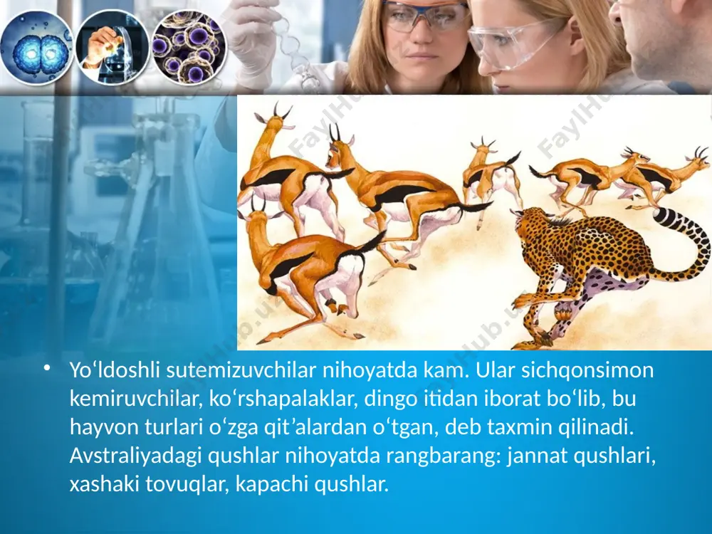 evolutsiyani isbotlashda biogeografiya fani dalillari. 10 - sinf - Page 4