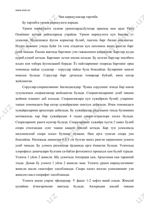 ди. усимта 1 уйли 2 жинсли. шу усимтада антерция хам, архегония хам тараккий этади. демак бу усимта 1 уйли 2 жинсли экан. усимта урмон кирккулогининг жинсли насли гаметофит хисобланади. спора хосил килган усимликнинг узи жинссиз насл-спорафит хисобланади. усимта киска умрли эфемердир. у факат 1-2 хафта яшай олади. жинсий купайиш ёгингарчилик вактида булади. антеридия ишлаб чиккан сперматозоидлар сувда сузиб юради. бу сперматозоидларни узига жалб килгани учун архегония "олма кислотасини" ишлаб чикади. сперматозоидлар архегониянинг буйнига келиб ёпишади,натижада архегониянинг тухум хужайрасини оталантиргандан, сунг эмбрион хосил булади. эмбриондан янги усимлик усиб чикади. сув кирккулоклар тартиби хар хил спорали кирккулокларга"сув кирккулогини ола-миз. сув бетида сузиб юрувчи 1 йиллик ут усимлик. пояси горизонталь равишда шохланган. барги 2 хил булади. а) сувнинг бетидаги барги б) сувнинг остидаги барги сувнинг бетидаги барги яшил. унда хлорофилл доначалари булади. бу баргда фотосинтез процесси булиб туради. сувнинг остидаги барги кунгир рангли булиб, илдиз вазифасини бажаради. кунгир рангли баргларда соруслар жойлашган. соруслар …