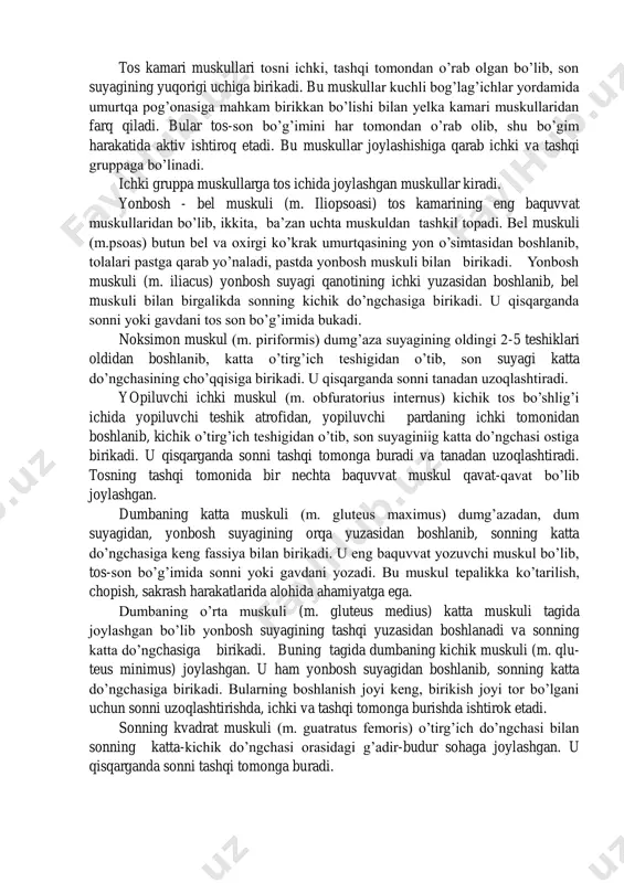 yelka bo’g’imida yaqinlashtirish harakati bajariladi. pastki kamar muskullari pastki kamar muskullari asosan 2 gruppaga: tos kamari va oyoq muskullariga bo’lib o’rganiladi. tos kamari muskullari tosni ichki, tashqi tomondan o’rab olgan bo’lib, son suyagining yuqorigi uchiga birikadi. bu muskullar kuchli bog’lag’ichlar yordamida umurtqa pog’onasiga mahkam birikkan bo’lishi bilan yelka kamari muskullaridan farq qiladi. bular tos-son bo’g’imini har tomondan o’rab olib, shu bo’gim harakatida aktiv ishtiroq etadi. bu muskullar joylashishiga qarab ichki va tashqi gruppaga bo’linadi. ichki gruppa muskullarga tos ichida joylashgan muskullar kiradi. yonbosh - bel muskuli (m. iliopsoasi) tos kamarining eng baquvvat muskullaridan bo’lib, ikkita, ba’zan uchta muskuldan tashkil topadi. bel muskuli (m.psoas) butun bel va oxirgi ko’krak umurtqasining yon o’simtasidan boshlanib, tolalari pastga qarab yo’naladi, pastda yonbosh muskuli bilan birikadi. yonbosh muskuli (m. iliacus) yonbosh suyagi qanotining ichki yuzasidan boshlanib, bel muskuli bilan birgalikda sonning kichik do’ngchasiga birikadi. u qisqarganda sonni yoki gavdani tos son bo’g’imida bukadi. noksimon muskul …