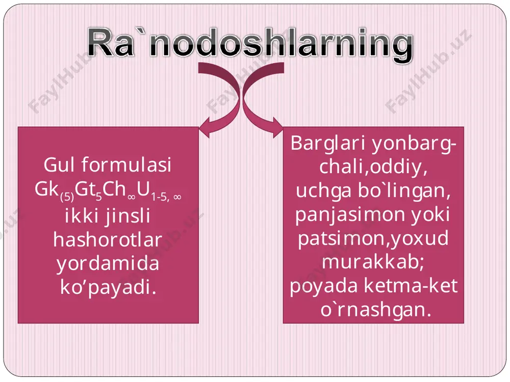 ra’nodoshlar oilasi haqida - Page 5
