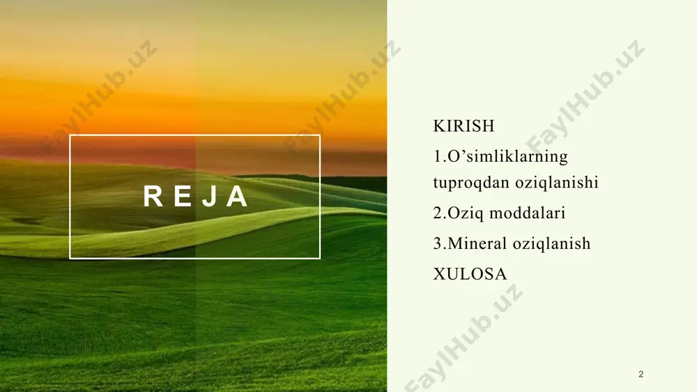 tabolizmi uchun juda muhimdir. 4 4 5 tuproqning oziqlanishdagi roli: oziq moddalar deposi: tuproq mineral moddalarning tabiiy ombori hisoblanadi. organik moddalar (gumus) parchalanishi natijasida mineral moddalar ajralib chiqadi. suv va havo ta’minoti: tuproq o‘simlik uchun suv va kislorod zaxirasini saqlaydi, bu esa ildizlarning nafas olishi va oziq moddalarni o‘zlashtirishi uchun sharoit yaratadi. ildizlar uchun tayanch: tuproq o‘simlikning yerda mustahkam turishi uchun fizik tayanch bo‘ladi. mikroorganizmlar faoliyati: tuproqdagi bakteriyalar, zamburug‘lar va boshqa mikroorganizmlar oziq moddalarning aylanishida, ayniqsa azotni fiksatsiyalash (havo azotini o‘simliklar o‘zlashtira oladigan shaklga o‘tkazish) va organik moddalarni parchalashda muhim rol o‘ynaydi. oziq moddalarning o‘zlashtirilishiga ta’sir qiluvchi omillar: tuproq reaksiyasi (ph darajasi): tuproqning kislotaliligi yoki ishqoriyligi ko‘plab oziq moddalarning eruvchanligiga va o‘simliklar tomonidan o‘zlashtirilishiga bevosita ta’sir qiladi. ko‘pchilik o‘simliklar uchun ph 6.0-7.0 (neytralga yaqin) optimal hisoblanadi. suv mavjudligi: suv yetarli bo‘lmasa, oziq moddalar erimaydi va ildizlarga yetib bormaydi. haddan tashqari ko‘p suv esa havo almashinuvini buzib, ildizlarning nafas olishini qiyinlashtirishi …