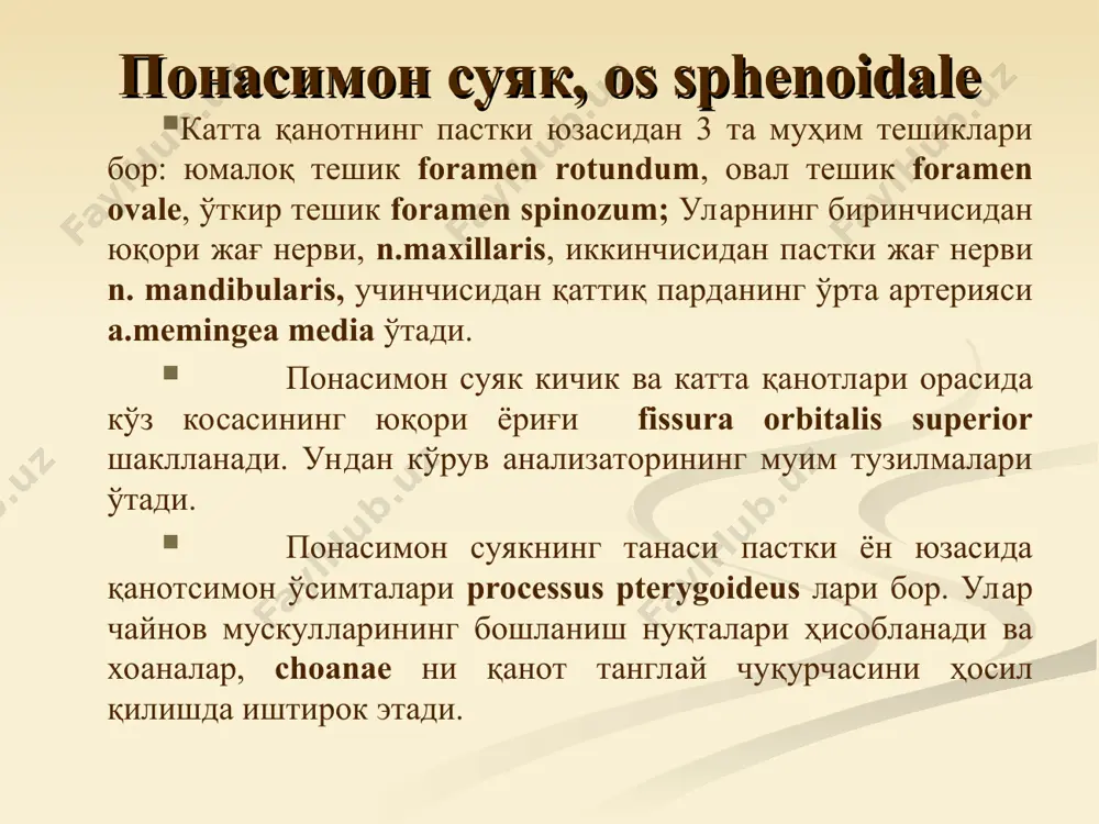чакка суягининг каналлари - Page 4