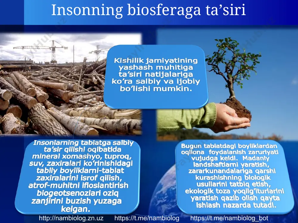 e/nambiolog https://t.me/nambiolog_bot company logo http://nambiolog.zn.uz https://t.me/nambiolog https://t.me/nambiolog_bot 98471947
