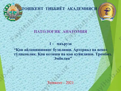 patologik anatomiya — PPT