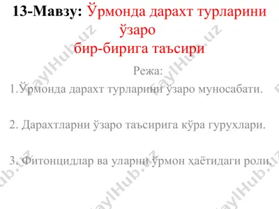 daraxtlar va ularning o'zaro ta'siri — PPT