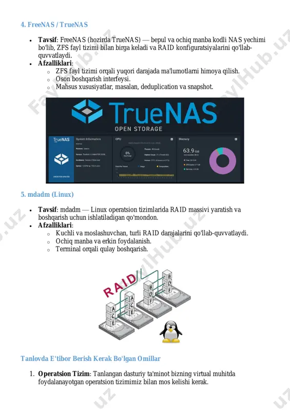 virtual muhitda raid tizimi bilan ishlash uchun dasturiy ta'minotni tanlash - Page 4