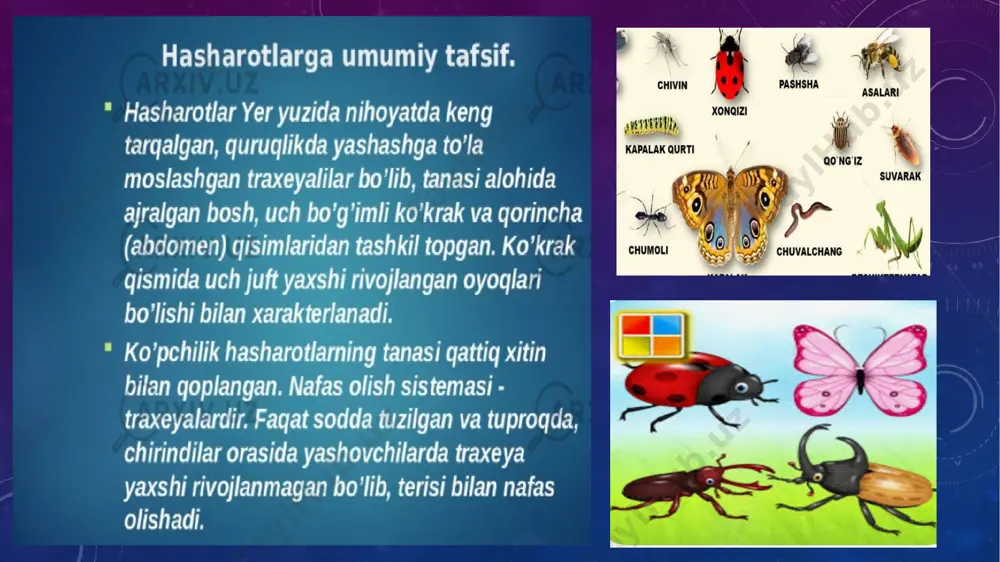 foz (gemimetabolik) bu turdagi hasharotlarning rivojlanishi uch bosqichda kechadi: tuxum nimfa: tuxumdan chiqqan hasharotning yosh shakli (yetuk hasharotga o‘xshash, lekin qanotlari va jinsiy organlari to‘liq rivojlanmagan bo‘ladi). imago (yetuk hasharot) misollar: chigirtkalar suv chivinlari bedbuglar parda qanotlilar- hymenoptera.150 mingdan ortiq turi ma’lum. bularning qanoti ikki juft,tiniq,lekin orqa juft qanotlari oldingisiga mahkam ilashgan,shuning uchun ikki qanotga o'xshash ko’rinishadi. ogʻiz apparati kemiruvchi yoki sanchuvchi tilda,yuqori jagʻlari taraqqiy etmagan.lichinkalari oyoqsiz yoki qurtsimon.gʻumbagi erkin koʻrinishda,ko'pincha pilla ichida joylashgan.boshi harakatchan,ko’zi kichkina. chumolilar – formicoidea bosh oilasi.ular polimorfli,turlarga boy hasharotlar boʻlib,5 mingdan ortiq turlari keng tarqalgan.bular jamoa boʻlib yashab qanotsiz ishchi,qanotli erkak,urg’ochi va yirik boshli ishchilarga bo'linadi.chumoli inlarini yerga,daraxt poʻkaklari va boshqa yerlarga qo'yadi.hayvonlar va oʻsimlik mahsuloti qoldiqlari bilan oziqlanadi. chumolilar yerda inlar qazishi tufayli tuproq hosildorligini oshirishda ahamiyati katta.oʻrmonlarda mezana formali inlar yasaydigan malla chumoli – formica rufa l.keng tarqalgan turlaridan biridir.u va unga yaqin turlar o‘rmon zararkunandalarining kushandalaridir.ulardan zararli hasharotlar bilan kurashda ustida ish …